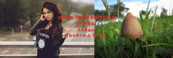 метадон Арсеньев