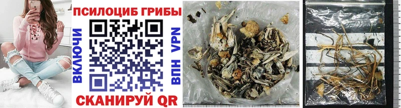 Галлюциногенные грибы Psilocybe  МЕГА как войти  Павловск 